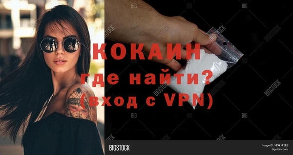индика Балахна