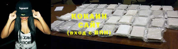 ГАЛЛЮЦИНОГЕННЫЕ ГРИБЫ Богданович