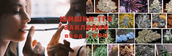 индика Баксан