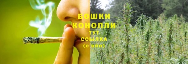 каннабис Аркадак