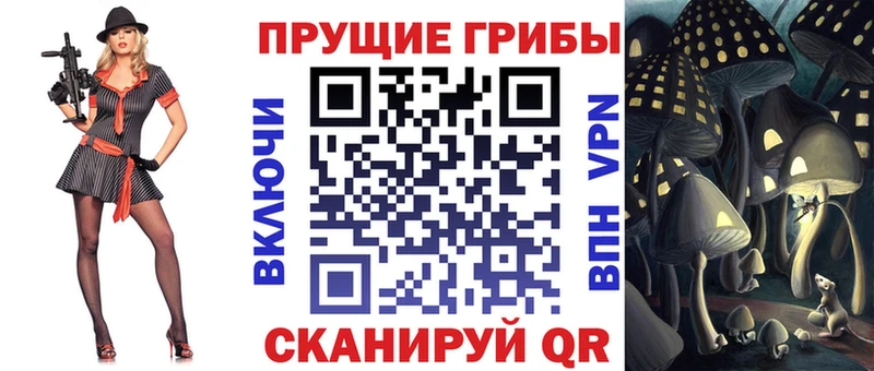 купить  цена  hydra tor  Псилоцибиновые грибы GOLDEN TEACHER  Макушино 